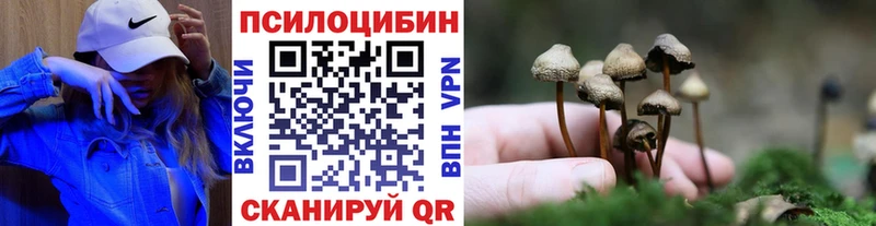 Галлюциногенные грибы мицелий  blacksprut зеркало  Орлов 